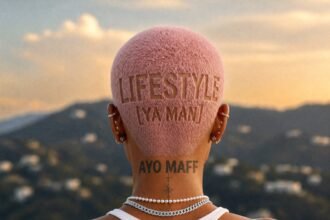 Lifestyle (Ya Man) Lyrics Song by Ayo Maff