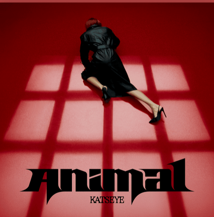 Animal by Katseye