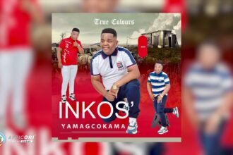 Inkos' Yamagcokama Amabulawo official audio art