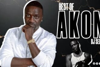 DJ Sedan Best Of Akon Hitz Only mix album cover art