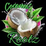 My Everything by Coconut Rootz