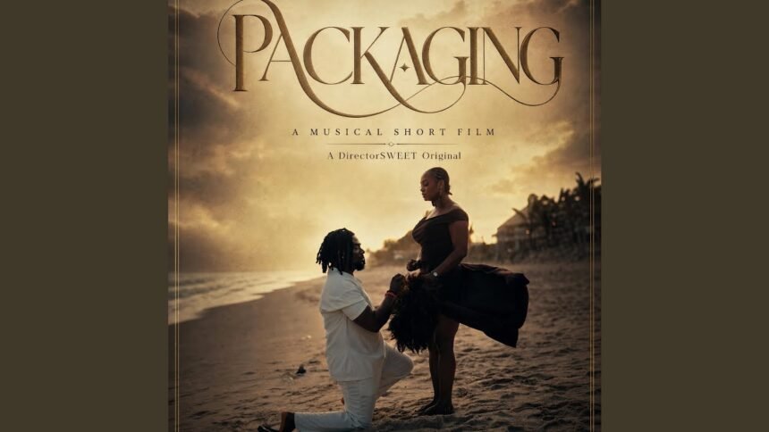 Artwork for the song Packaging by DIRECTORSWEET and OZIGI MARTIN