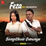 Sengithole Omunye (Remix) by Feza ft. Chulumanco M