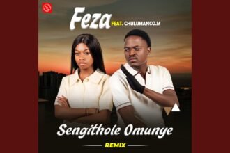 Feza and Chulumanco M Sengithole Omunye Remix cover image