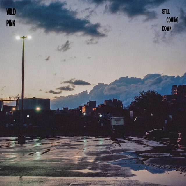 Album cover art for Still Coming Down by Wild Pink