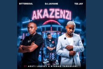 Cover artwork for Akazenzi by BitterSoul, Dj Jaivane, Tee jay, Abuti Lowkey, and Ntando Yamahlubi