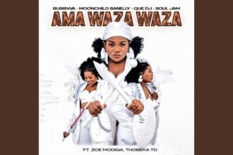 Cover artwork for the single Ama WAZA WAZA by Busiswa and featured artists