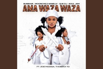 Cover artwork for the single Ama WAZA WAZA by Busiswa and featured artists