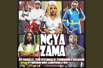 Cover artwork for Ngyazama by DJ Smallz, Zee Nxumalo, and ZinedinexSguche featuring Brodie.Bro and Mdeshkayro