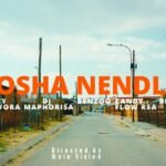 Sosha Nendlu by Ricky Lenyora, Candy Flow Rsa, Dj Maphorisa & Benzoo feat. Bron
