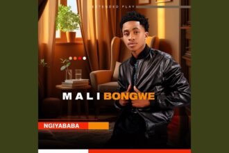 Cover image for UKUK'THANDA YEBO by MALIBONGWE featuring UMNOTHO and USDUH DLADLA