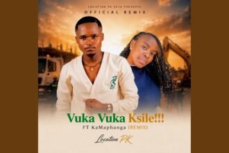 Official artwork for Vuka Vuka Ksile remix by Location PK featuring KaMaphanga