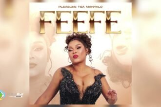 Official cover artwork for Feefe by Pleasure Tsa Manyalo.