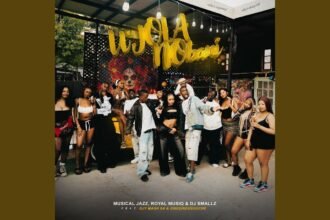 Jola Nobani single cover showing vibrant graphic design with the names Musical Jazz, Royal Musiq, DJ Smallz, Djy Mash SA, and ZinedinexSguche displayed prominently.