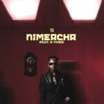 Nimeacha by Ibraah Feat D Voice