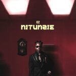 Nitunzie by Ibraah