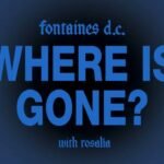 Where Is Gone? by Fontaines D.C. ft. Rosalía